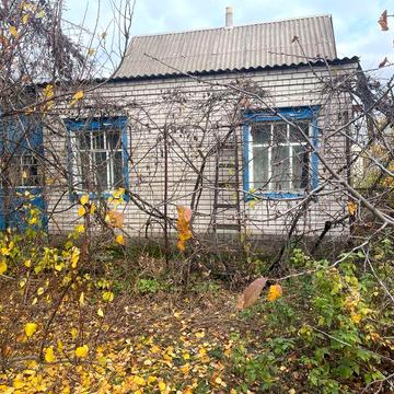 Будинок з земельною ділянкою