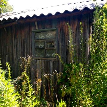 Продам дачу с.Новоселки Бучанского  р-на площадью 0,063 га