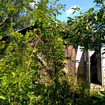 Продам дачу с.Новоселки Бучанского  р-на площадью 0,063 га