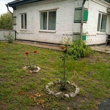 Будинок в селищі Царичанка на березі р. Оріль