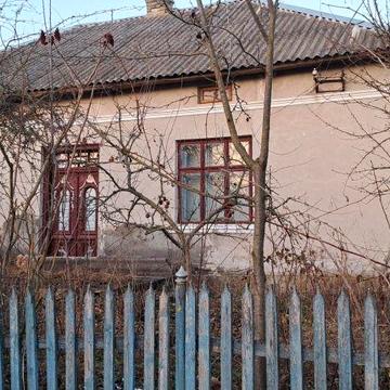 Будинок для бізнесу+старий будинок,гараж,Город 40 сотих і коло будинка