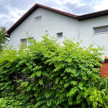 Сдам дом 100м2, река,возможно круглогодичное проживание.с.Партизанское