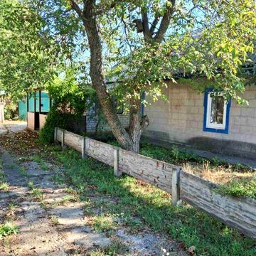 Сдам дом село Петро Михайловка