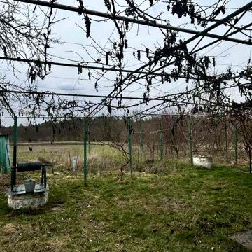 Продаю Будинок в селі Катеринка біля лісу.