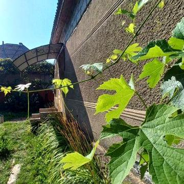 Продається будинок, с.Загаття, Закарпатська область