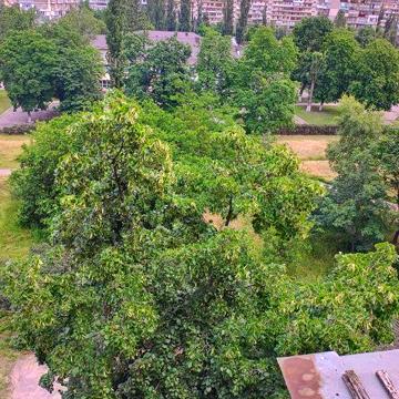 Двокімнатна на Березняках від господаря