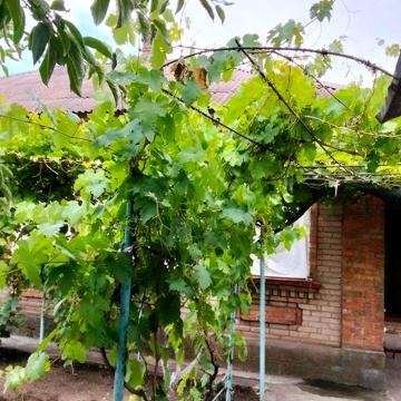 Продам дім у Довгинцевському районі