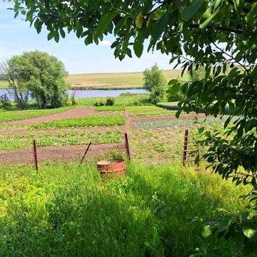 Продам хату Білоцерківський район Київської області