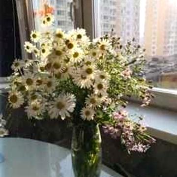 ПРОДАМ: 1-но к.кв.,5 этаж,кухня-9м,комната-18м. Цена: 22.000т.