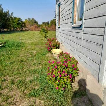 Затишний будинок