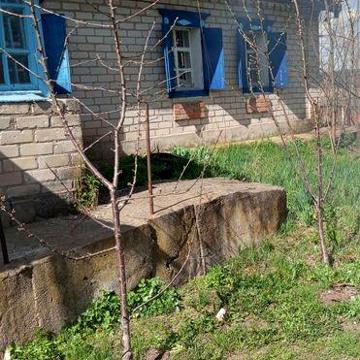 Продам будинок в селі Куцеволівка