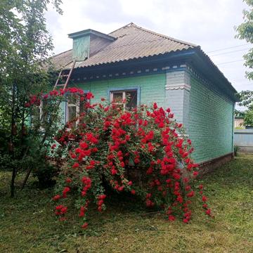 Продам будинок м.Прилуки