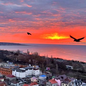 Штильова вул., 21/1