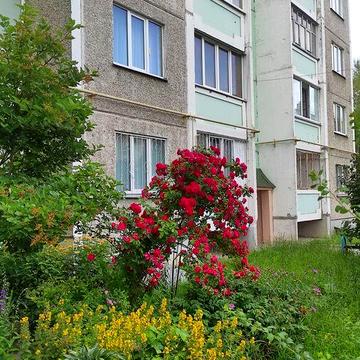 Продаж 1 - кімнатної квартири з ремонтом