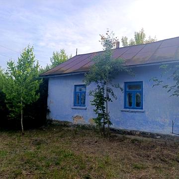 Продам будинок в селі Варковичі