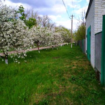 Продам дім смт Степанівка (Торопилівка)