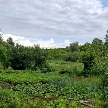 Запорізька