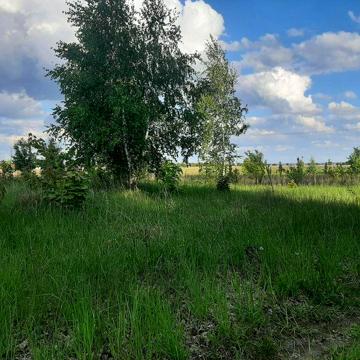 Козаровичі, Вишгородський, Київська область 18000.0 USD