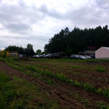 Бузова, Бучанський, Київська область 10000.0 USD