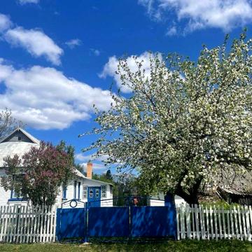 продаж будинку на великій ділянці