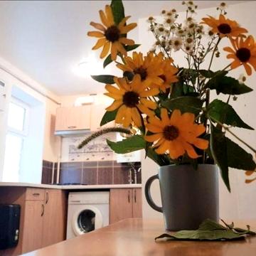 Сдам дом. 60 кв м. Правый берег Днепра. Риелторы не звоните.