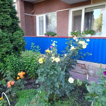 Однокімнатна квартира із затишним двором, все поруч: школа, станція