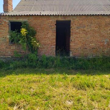 Продам приватизований будинок в с.Грибовиця