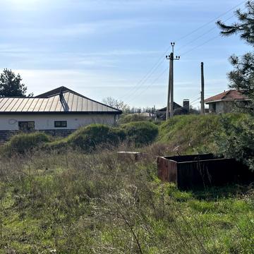 Зелена