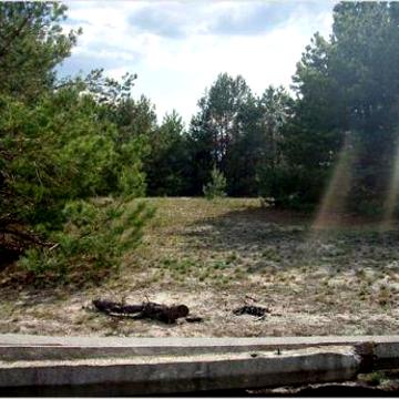 Ясногородка, Вишгородський, Київська область 7000.0 USD