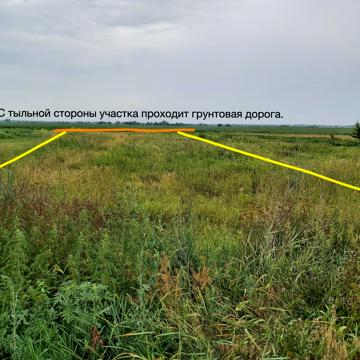 Амосова