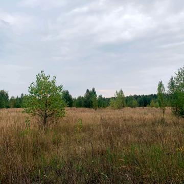 Чапаева