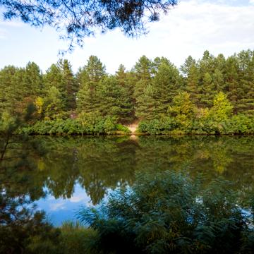 Лебедівка, Вишгородський, Київська область 490000.0 USD