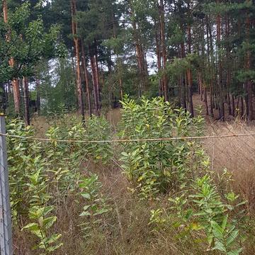 Романків, Обухівський, Київська область 255000.0 USD