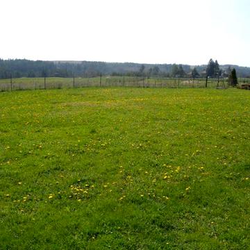 Богданівка, Броварський, Київська область 3000.0 USD