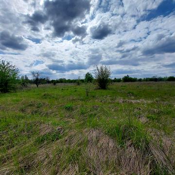 Петропавлівське (Петровське), Бориспільський, Київська область 13500.0 USD