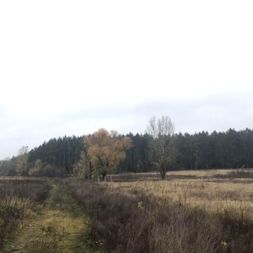 Романківська