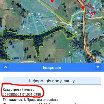 Кривопілля