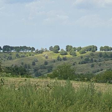 Луки Дубового