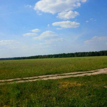 лісова