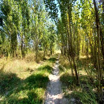 Білогородка, Бучанський, Київська область 45000.0 USD