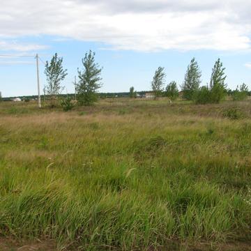 Литвинівка, Вишгородський, Київська область 3000.0 USD