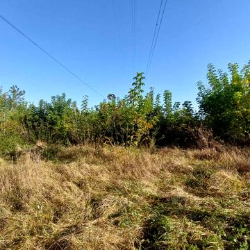 Білогородська сільська рада