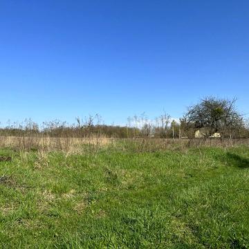 пров. Леонтовича