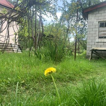 Січових Стрільців вул. (Пролетарська), 6