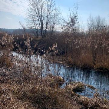 Старі Безрадичі, Обухівський, Київська область 450000.0 USD