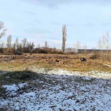 Бориспіль, Бориспільський, Київська область 175000.0 USD