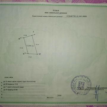 центральна, 5