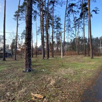 Антонія Михайловського вул., 22