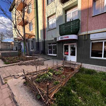 Рози Ауслендер вул., 33