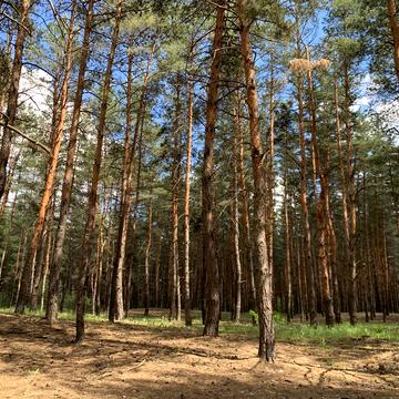 Новоселівка, Дніпровський, Дніпропетровська область 43500.0 USD